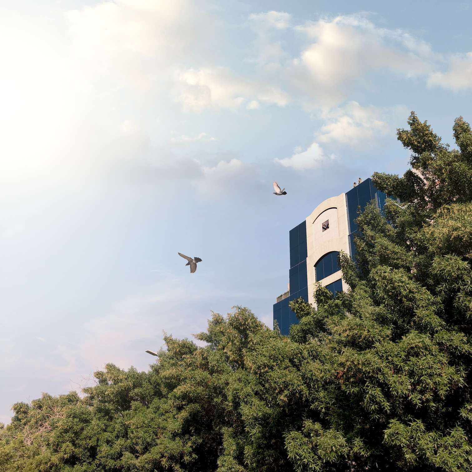 Towards vision 2030 | Tamer Group